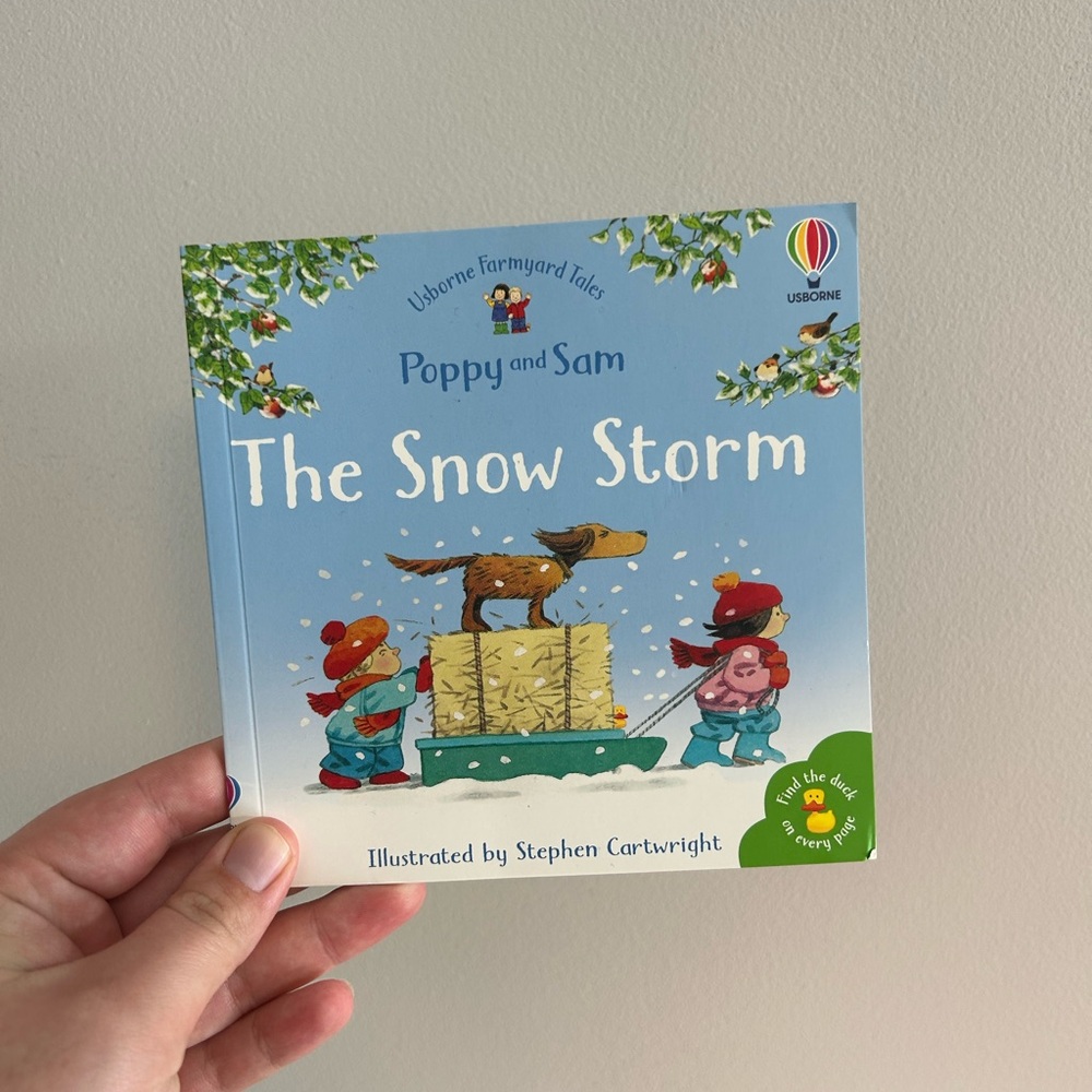 Usborne Poppy and Sam The Snow Storm Book